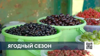 Нижнекамские продавцы на рынке объяснили высокий скачок цен на ягоды