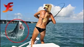 Top 5 Most Shocking And Amazing Fishing Moments Caught On Camera