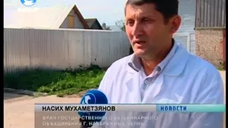 Вспышка бешенства в Татарстане