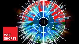 Symmetry in the Standard Model