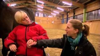 Doku - Die heilende Sprache der Pferde