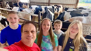 Yep them there is Cows!  MILK TOUR and Milk Sampling at SHATTO Milk Company #milk #shattomilk