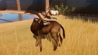 Sable Antelope And Scimitar Horned Oryx Habitat || Planet Zoo Speed Build