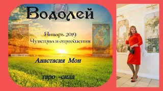 Таро прогноз на январь 2019 Водолей. Анастасия Мон. Чувства и отношения.