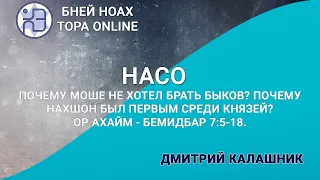 Почему Моше не хотел брать быков? Почему Нахшон был первым среди князей? Ор аХайм БМДБ 7:5-18. Насо