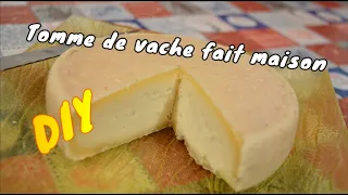 Faire du fromage maison au lait de vache !!! 🐮