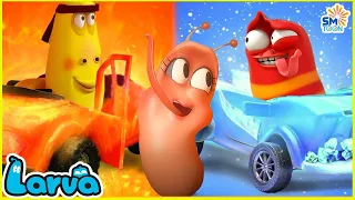 LARVA Season 1 Full Episode 36 ~ 100 🍟 Best Cartoons 2022 | Comics | Hilarious Cartoon Compilation