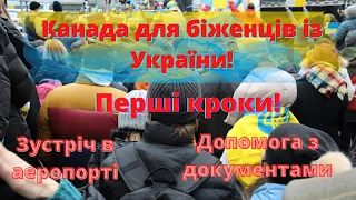 Канада для українських біженців. CUAET. Допомога в аеропорту. Волонтери допомагають.