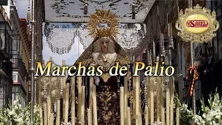 Semana Santa 2023 - Marchas Procesionales de Palio - Mundo Cofrade