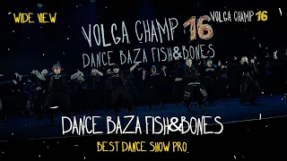 VOLGA CHAMP XVI | BEST DANCE SHOW PRO | WIDE VIEW | DANCE BAZA FISH & BONES
