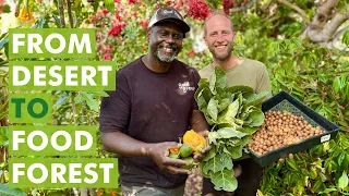 From Desert to Food Forest - A Transformation through Soil Regeneration!