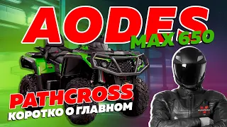 ОБЗОР КВАДРОЦИКЛА AODES PATHCROSS MAX 650 #AODES