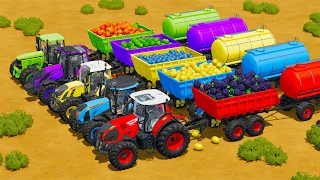 CLAAS vs McCORMICK vs FENDT vs VALTRA vs JOHN DERRE TRACTORS BATTLE WITH FRUITS & WATER TANKS - Farm