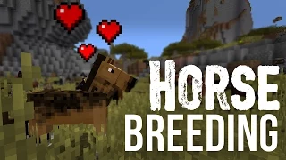 Breeding Horses, Donkeys & Mules - Minecraft