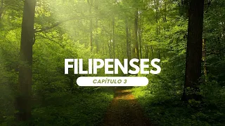 Filipenses completo - Biblia Reina Valera 1960: Escuchando la Palabra de Dios | Tu Palabra 📖🎧