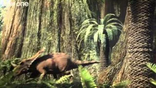 Tyrannosaur Rivalry - Planet Dinosaur  - Episode 3 - BBC One