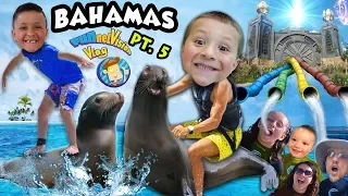 Playing with SEA LIONS + POWER TOWER WATER SLIDES!! FUNnel Family LEAVES Bahamas ◕︵◕ Trip Part