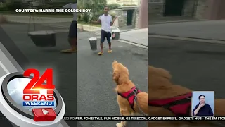 Golden Retriever na "part-time taho vendor," trending | 24 Oras Weekend