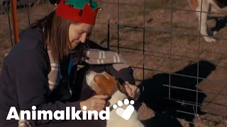 Watch a former animal testing lab transform into an animal sanctuary | Animalkind