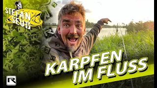 Wilde KARPFEN am FLUSS!! | KARPFENANGELN in Deutschland | Die Erfolgs-Montage!!!