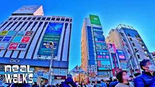 Tokyo Walking Tour: Ueno Station to Akihabara