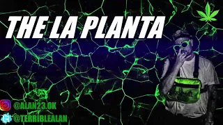 THE LA PLANTA ENGANCHADOS ❌ 2024