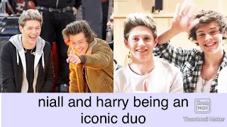 Niall and Harry being an iconic duo