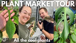 Plant Market Tour - Incredible aroids, Hoya, Begonia and more | Plant with Roos
