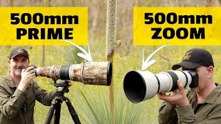 PRIME or ZOOM for Wildlife? Which Do You Prefer? Canon R5 with RF100-500 and EF500 F4