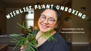 Unboxing Wishlist Plants from Planted by Christy | HOUSEPLANT UNBOXING