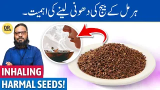 Harmal Beej Ke Jismani/Rohani Fayde! Harmal Seed Benefits | Dr. Ibrahim