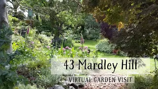 43 Mardley Hill; Luscious planting and quirky corners