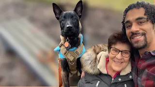 Adorable Moment: Grandma Meets New Malinois Puppies for the First Time