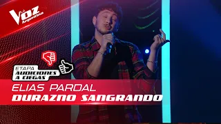 Elías Pardal - "Durazno sangrando" - Audiciones a Ciegas - La Voz Argentina 2022