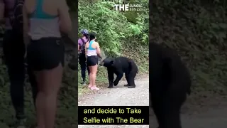 fearless woman take selfie with black bear approached her group