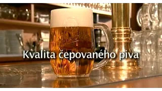 Plzeňský Prazdroj - kvalita čepovaného piva