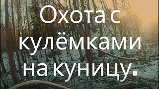 Охота на куницу с кулемками.