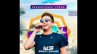 Wesley Safadão - Viajo Nela | Repertório Novo