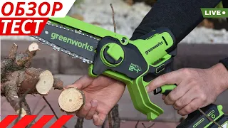 Аккумуляторная цепная пила Greenworks GD24CSMNX обзор и обрезка дерева