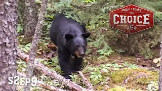 The Choice - Legends of Bear 'N Down in Ontario // S2: Episode 9