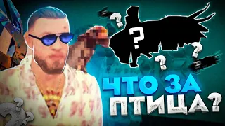 ❗АКССЕСУАР ЗА 45.000.000?! Вылупление яиц, Инкубатор • Mordor RP / Мордор РП