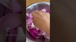 Pickled magnolia petals for salad or pasta toppings