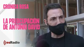 Crónica Rosa: La preocupación de Antonio David