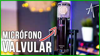 🎙️ Sonido CÁLIDO, VINTAGE y LIMPIO | Vanguard V13 Gen2