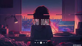 TU HAI LOFI | (Slowed + Reverb) | Darshan Raval