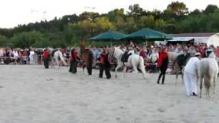 Pferdetheater am Strand von Heringsdorf Video 3