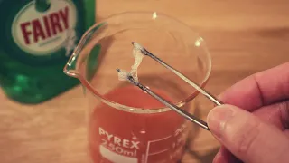 Extracting Strawberry DNA - Experiment At Home