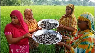 Expensive Country Catfish Cutting  & Curry Cooking For Whole Village Peoples By Our Pride Women Team