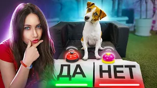 СОБАКА ОТВЕЧАЕТ ДА или НЕТ - Тест для Собаки | Elli Di Pets