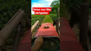 trator massey 275 trasado, aqui tem pressão